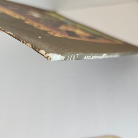 REO Speedwagon " Ridin The Storm Out" Vinyl PE 32378 Album 1973 Pre-Owned - Picture 8 of 11